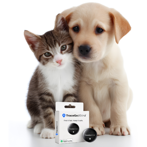 tracego ultra™ katt halsband med spårare – spåra utan månadskostnad